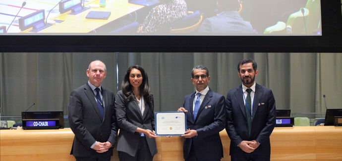 The United Nations Small Island Developing States Partnerships Award