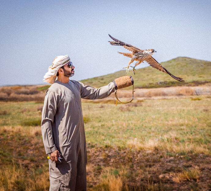 برنامج الشيخ زايد لإطلاق الصقور يعيد 63 صقراً إلى البرية في كازاخستان