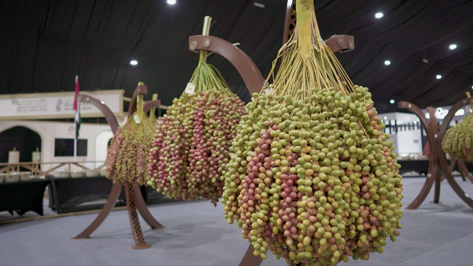Under the patronage of Mansour bin Zayed, 20th Liwa Date Festival to take place in Abu Dhabi