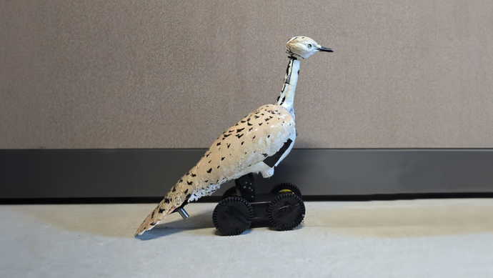 International Fund for Houbara Conservation and Khalifa University showcases Houbara Robot at Abu Dhabi International Hunting and Equestrian Exhibition 2024