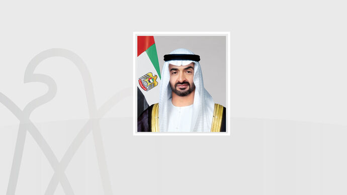 In his capacity as Ruler of Abu Dhabi, the UAE President issues a law reorganising General Administration of Abu Dhabi Customs