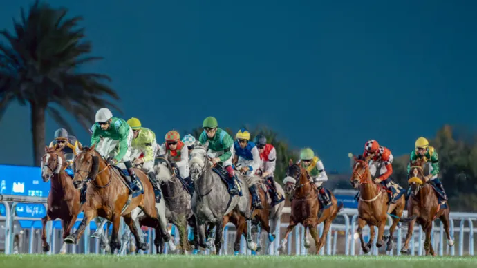Abu Dhabi Turf Club launches 2025–2026 racing season featuring largest number of purebred Arabian horse races in UAE calendar