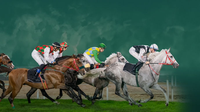 Under the patronage of Mansour bin Zayed, 32nd UAE President Cup for Purebred Arabian Horses to take place in Abu Dhabi