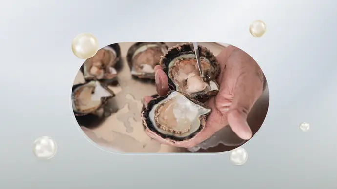 Inaugural Abu Dhabi Pearls Festival introduces new generations to UAE pearl-diving traditions