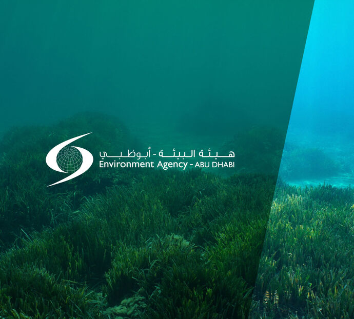 Environment Agency – Abu Dhabi wins bid to host 16th International Seagrass Biology Workshop in 2026