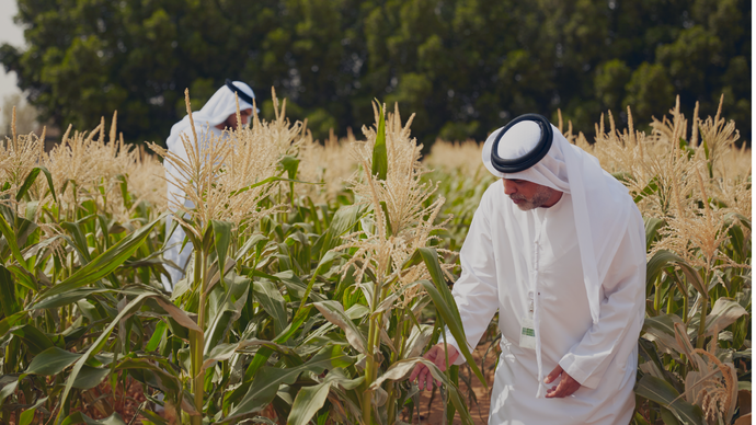 Abu Dhabi Agriculture and Food Safety Authority partners with Food and Agriculture Organization of the UN to launch world’s first Integrated Biosecurity Index