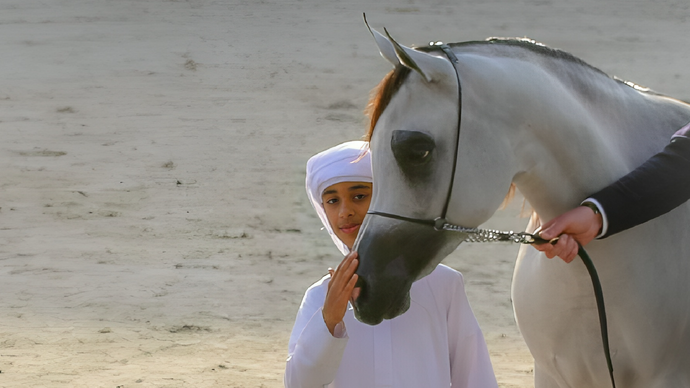 Abu Dhabi Heritage Authority and Emirates Arabian Horse Society to take part in Salon du Cheval d’El Jadida in Morocco